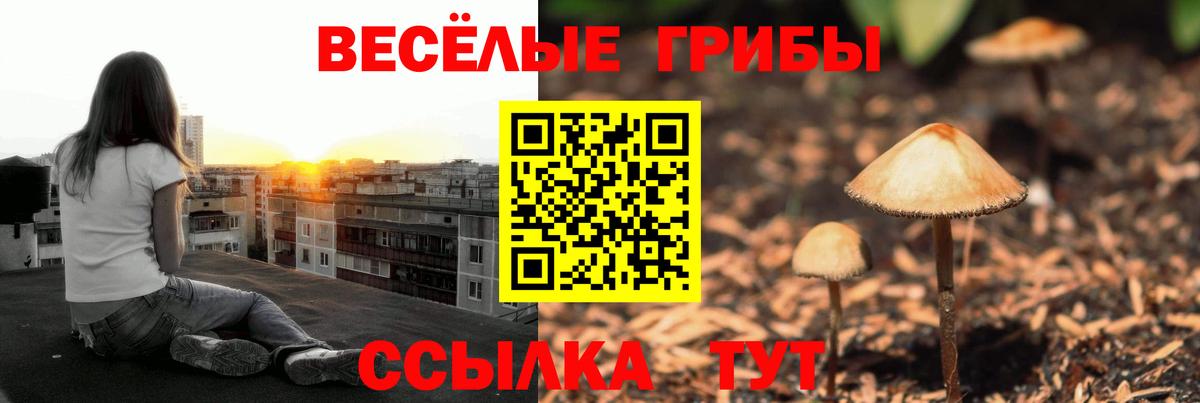 Галлюциногенные грибы Cubensis Миллерово